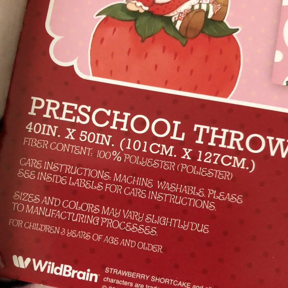 Strawberry Shortcake Pink PRESCHOOL Throw Blanket
